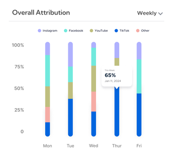 graphs showing attribution from various 
            traffic sources for an ecommerce brand.